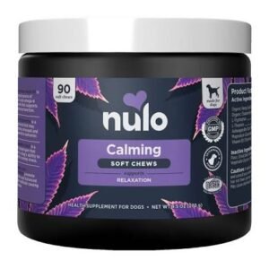 Brain Health Supplements for Dogs