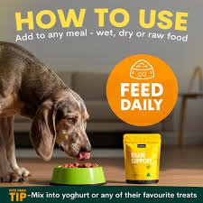 Brain Health Supplements for Dogs
